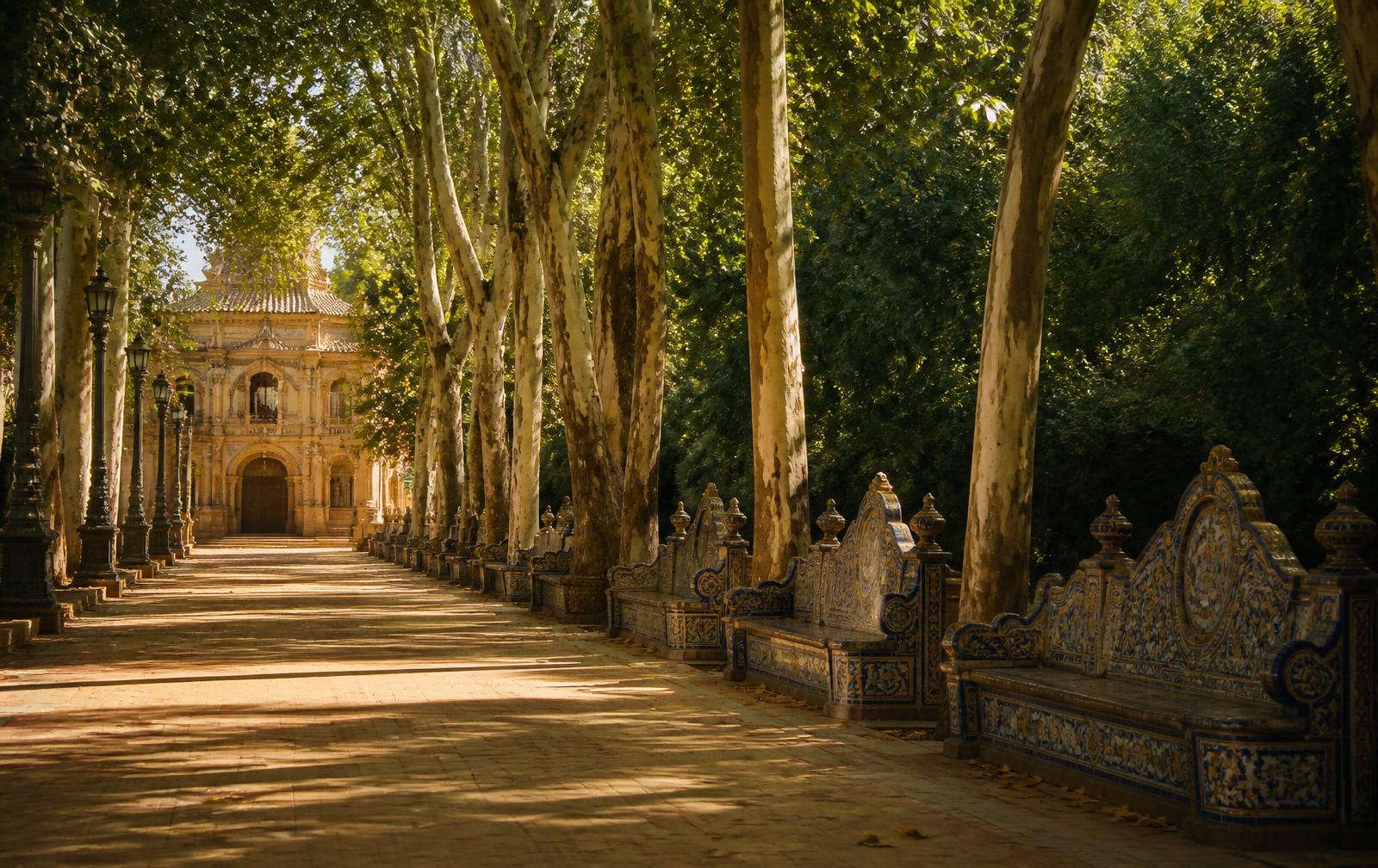Shaded avenue and tiled benches in Parque de María Luisa, Seville