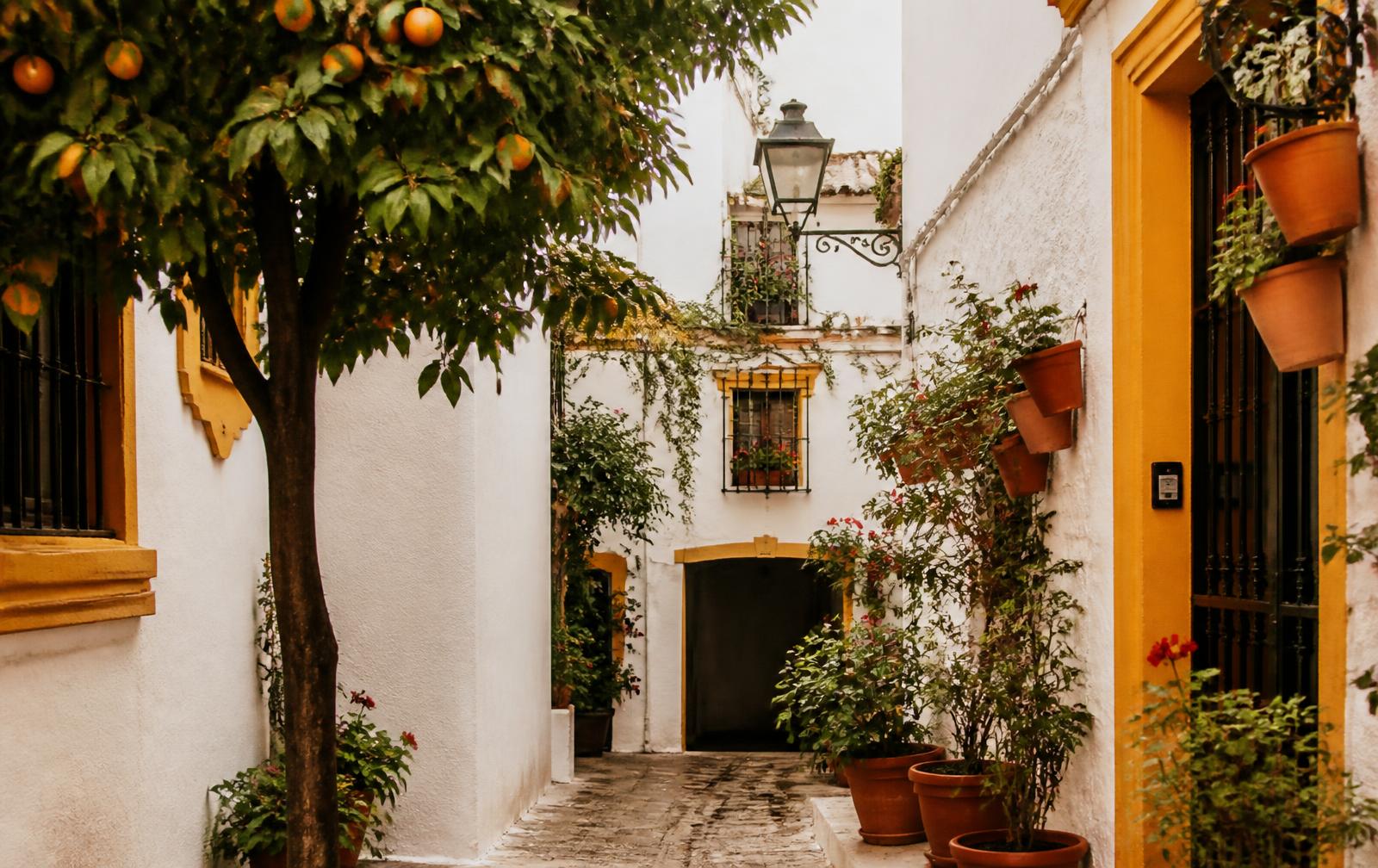 Whitewashed alley with orange trees in Barrio de Santa Cruz, Seville